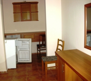 2-местный 1-комнатный «Полулюкс» (Фея 1)